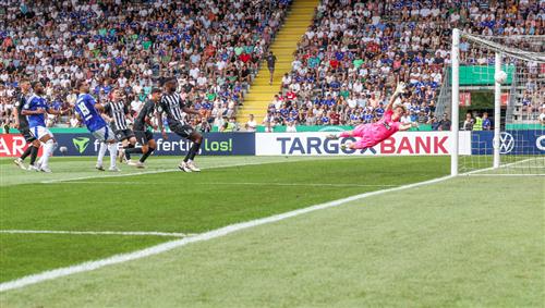 Understanding Just Bet Odds: A Beginner's Guide